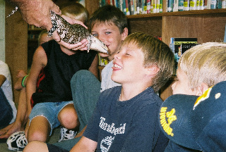 boys with skink